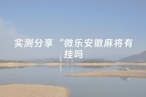实测分享“微乐安徽麻将有挂吗（专用辅牌神器免安装）