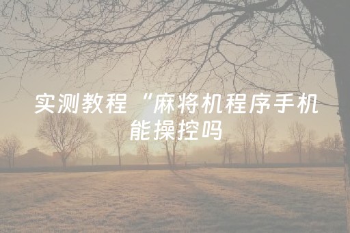实测教程“麻将机程序手机能操控吗（专用辅牌神器免安装）