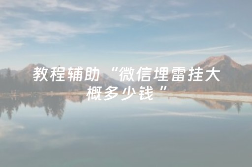 教程辅助“微信埋雷挂大概多少钱 ”（详细透视教程）-哔哩哔哩