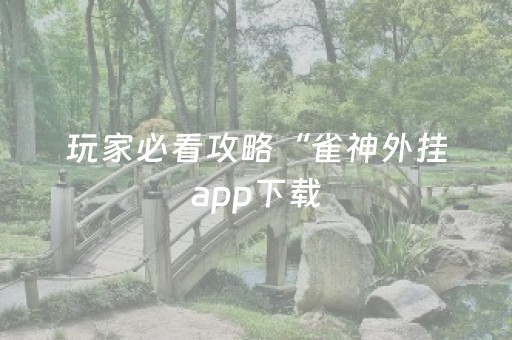 玩家必看攻略“雀神外挂app下载（助赢神器通用版）