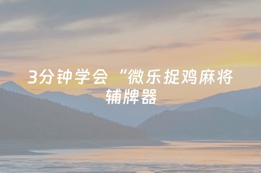 3分钟学会“微乐捉鸡麻将辅牌器（助赢神器通用版）