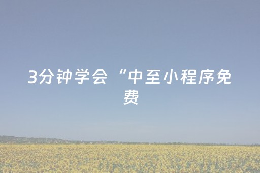 3分钟学会“中至小程序免费（专用辅牌神器免安装）