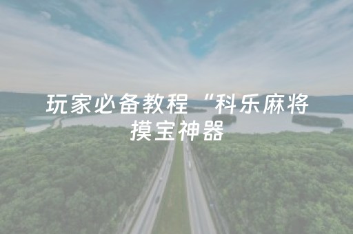 教程辅助“微乐海南麻将胡牌器”（详细透视教程）-哔哩哔哩