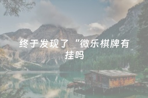 终于发现了“微乐棋牌有挂吗（助赢神器通用版）