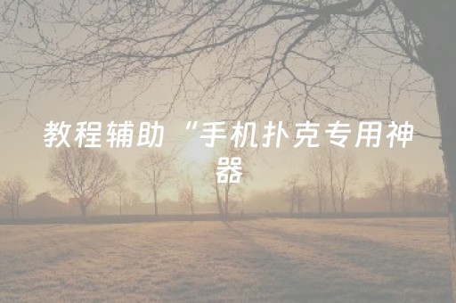 教程辅助“手机扑克专用神器（专用辅牌神器免安装）