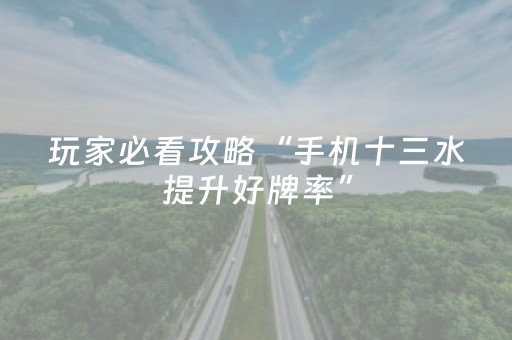 玩家必看攻略“手机十三水提升好牌率”（详细透视教程）-哔哩哔哩