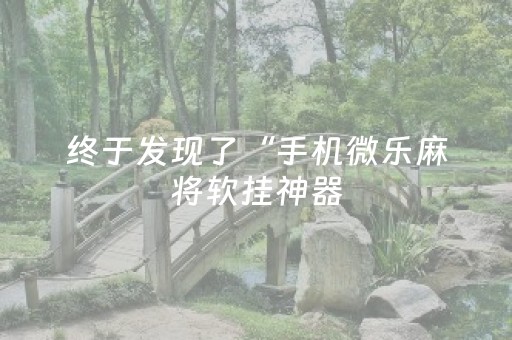 终于发现了“手机微乐麻将软挂神器（助赢神器通用版）