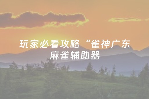玩家必看攻略“雀神广东麻雀辅助器（助赢神器通用版）