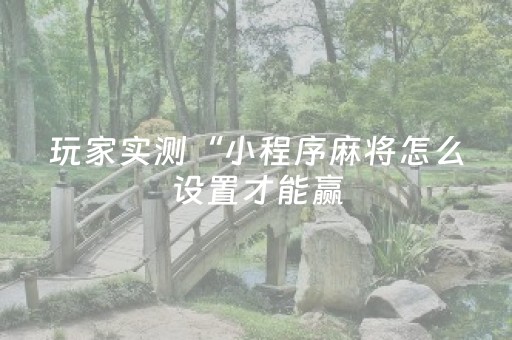 玩家实测“小程序麻将怎么设置才能赢（专用辅牌神器免安装）