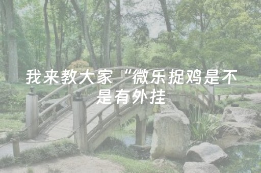 我来教大家“微乐捉鸡是不是有外挂（专用辅牌神器免安装）