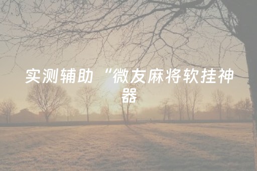 实测辅助“微友麻将软挂神器（专用辅牌神器免安装）