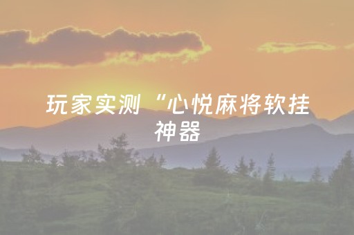 玩家实测“心悦麻将软挂神器（专用辅牌神器免安装）