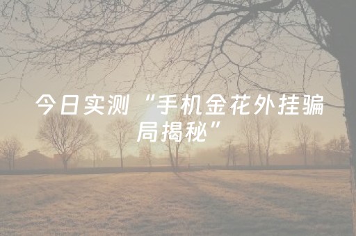 今日实测“手机金花外挂骗局揭秘”（详细透视教程）-哔哩哔哩