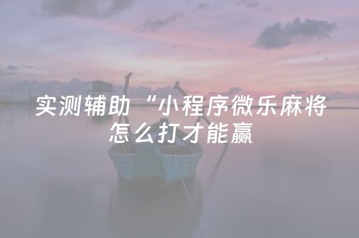 实测辅助“小程序微乐麻将怎么打才能赢（助赢神器通用版）
