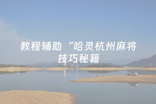 教程辅助“哈灵杭州麻将技巧秘籍（助赢神器通用版）
