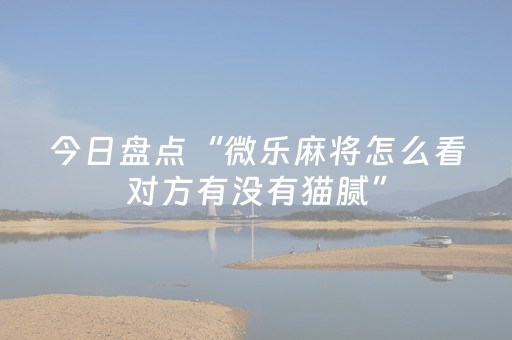 今日盘点“微乐麻将怎么看对方有没有猫腻”（详细辅助教程）-哔哩哔哩