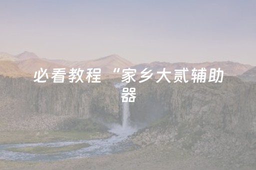 必看教程“家乡大贰辅助器（专用辅牌神器免安装）