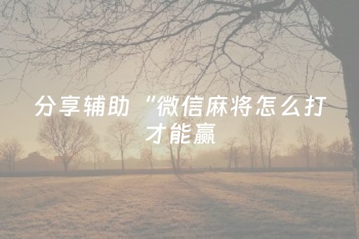 分享辅助“微信麻将怎么打才能赢（专用辅牌神器免安装）