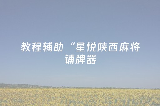 教程辅助“星悦陕西麻将铺牌器（助赢神器通用版）