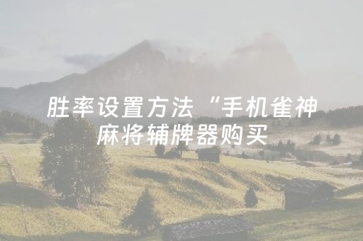 教程辅助“微乐麻将铺牌器购买（专用辅牌神器免安装）
