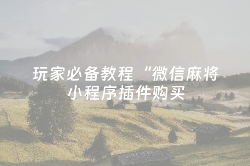 玩家必备教程“微信麻将小程序插件购买（助赢神器通用版）