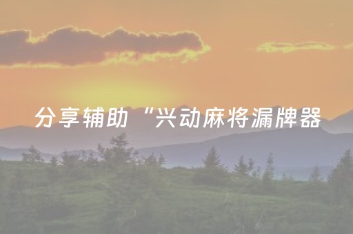 分享辅助“兴动麻将漏牌器（专用辅牌神器免安装）