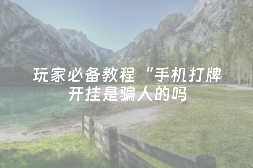 玩家必备教程“手机打牌开挂是骗人的吗（专用辅牌神器免安装）