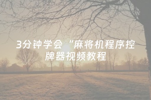 3分钟学会“麻将机程序控牌器视频教程（专用辅牌神器免安装）