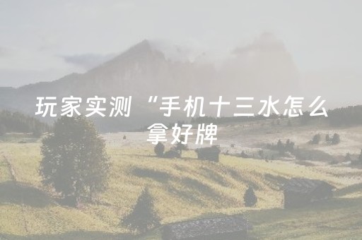 玩家实测“手机十三水怎么拿好牌（助赢神器通用版）