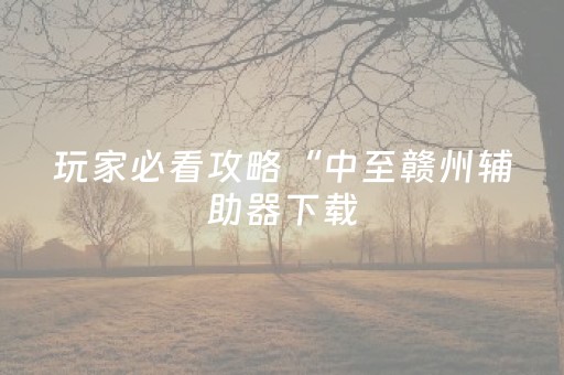 玩家必看攻略“中至赣州辅助器下载（专用辅牌神器免安装）