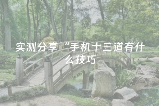 实测分享“手机十三道有什么技巧（助赢神器通用版）