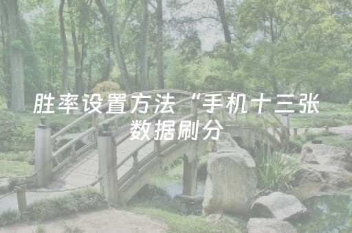 胜率设置方法“手机十三张数据刷分（专用辅牌神器免安装）
