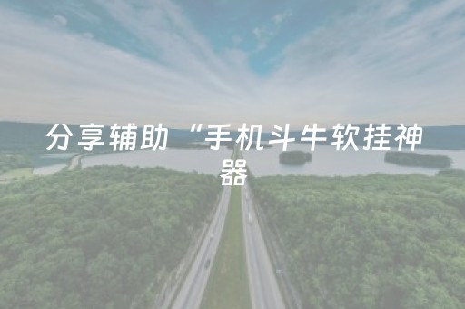 分享辅助“手机斗牛软挂神器（专用辅牌神器免安装）