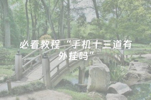 必看教程“手机十三道有外挂吗”（详细透视教程）-哔哩哔哩