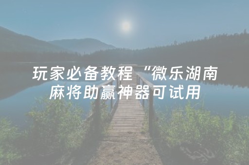 玩家必备教程“微乐湖南麻将助赢神器可试用（专用辅牌神器免安装）