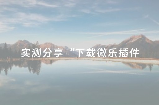 实测分享“下载微乐插件（专用辅牌神器免安装）