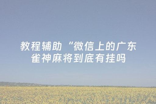 教程辅助“微信上的广东雀神麻将到底有挂吗（专用辅牌神器免安装）