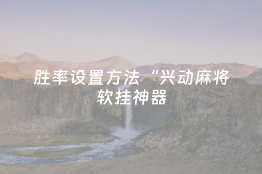 胜率设置方法“兴动麻将软挂神器（专用辅牌神器免安装）