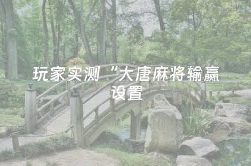 玩家实测“大唐麻将输赢设置（助赢神器通用版）