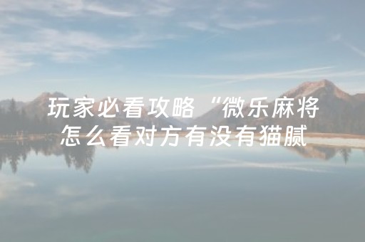 玩家必看攻略“微乐麻将怎么看对方有没有猫腻（助赢神器通用版）