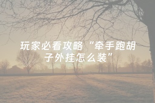 玩家必看攻略“牵手跑胡子外挂怎么装”（详细透视教程）-哔哩哔哩