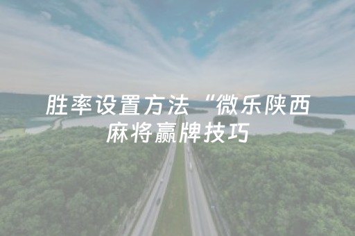 胜率设置方法“微乐陕西麻将赢牌技巧（助赢神器通用版）