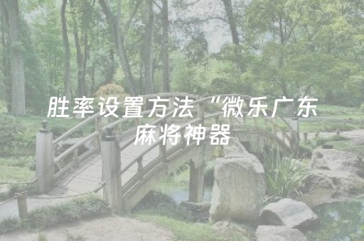胜率设置方法“微乐广东麻将神器（助赢神器通用版）