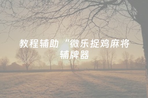 教程辅助“微乐捉鸡麻将辅牌器（助赢神器通用版）