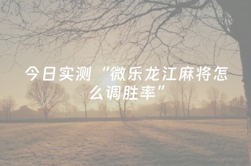 今日实测“微乐龙江麻将怎么调胜率”（详细辅助教程）-哔哩哔哩