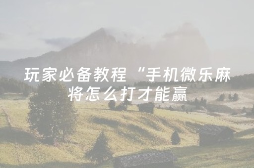 玩家必备教程“手机微乐麻将怎么打才能赢（专用辅牌神器免安装）