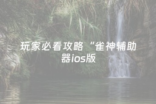 玩家必看攻略“雀神辅助器ios版（助赢神器通用版）
