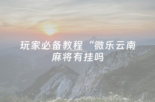 玩家必备教程“微乐云南麻将有挂吗（助赢神器通用版）