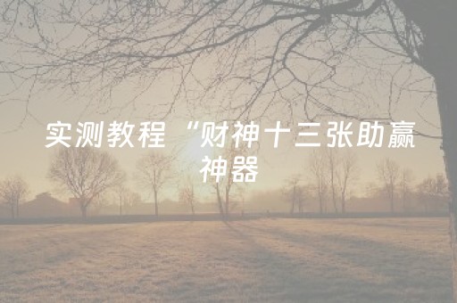 实测教程“财神十三张助赢神器（助赢神器通用版）