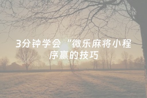 3分钟学会“微乐麻将小程序赢的技巧（专用辅牌神器免安装）